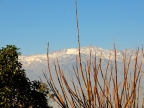chile-2013-tag-01-santiago-0103