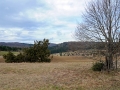 glastal-april-10-224