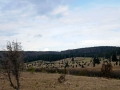 glastal-april-10-225