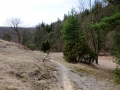 glastal-april-10-230