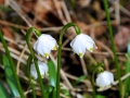 glastal-april-10-240