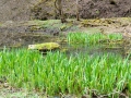 glastal-april-10-263