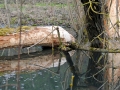 glastal-april-10-298