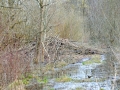 glastal-april-10-299