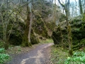 wolfstal-april-10-304