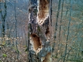 wolfstal-april-10-326