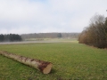 lautertal-april-10-119