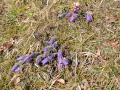 lautertal-april-10-128