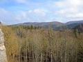 lautertal-april-10-143