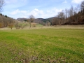 lautertal-april-10-155