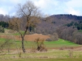 lautertal-april-10-156