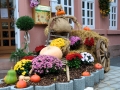 lahr-oktober-2010-235