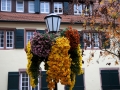 lahr-oktober-2010-277