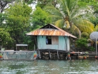 papua-2012-tag03-sentani-0068