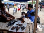 papua-2012-tag03-sentani-0134