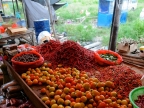 papua-2012-tag03-sentani-0137