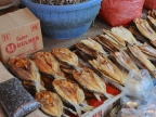 papua-2012-tag03-sentani-0140