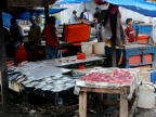 papua-2012-tag04-jayapura-0253