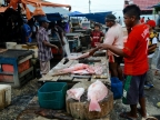 papua-2012-tag04-jayapura-0260
