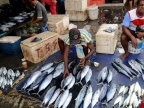 papua-2012-tag04-jayapura-0267