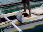 papua-2012-tag04-jayapura-0280