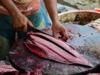 papua-2012-tag04-jayapura-0294