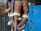 papua-2012-tag04-jayapura-0312