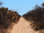 tag-14-khaukum-0791