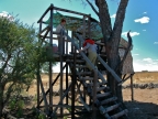 tag-14-khaukum-0798