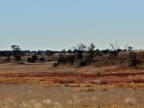 tag-14-khaukum-0803