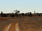 tag-14-khaukum-0805