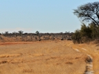 tag-14-khaukum-0807