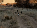 tag-14-khaukum-0817