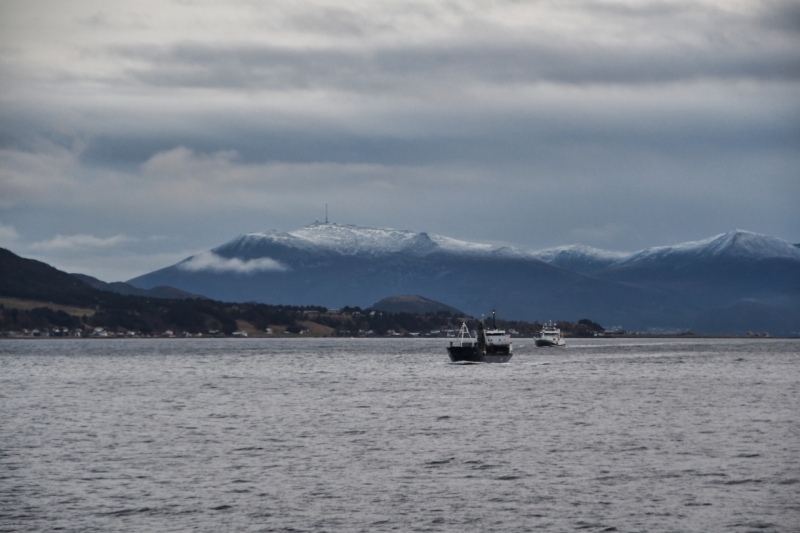 02-Alesund-0014