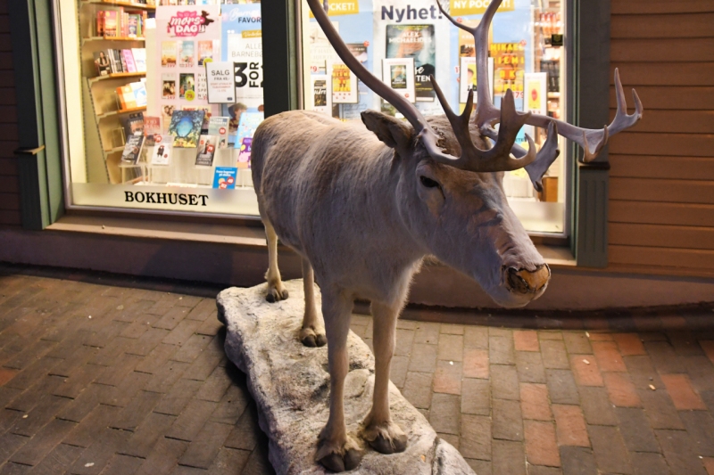 12-Tromso-0583