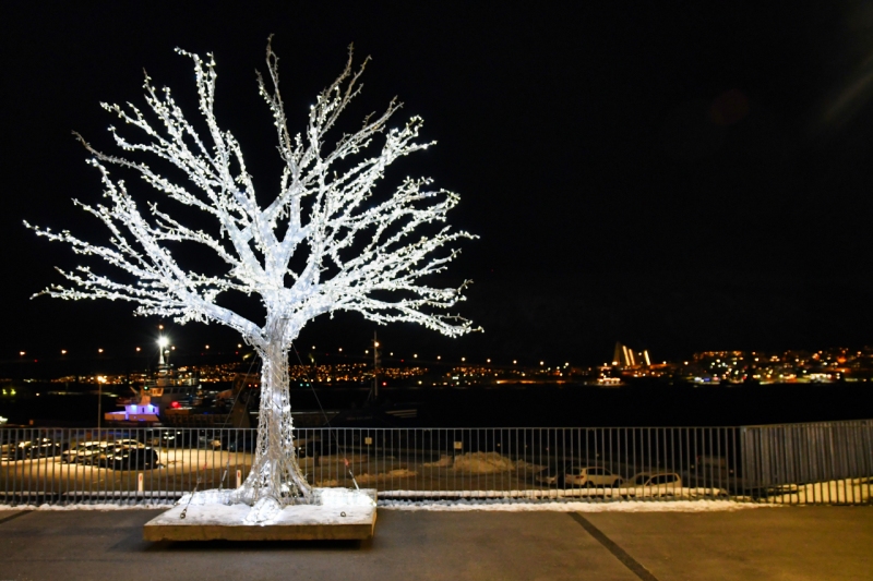 12-Tromso-0596