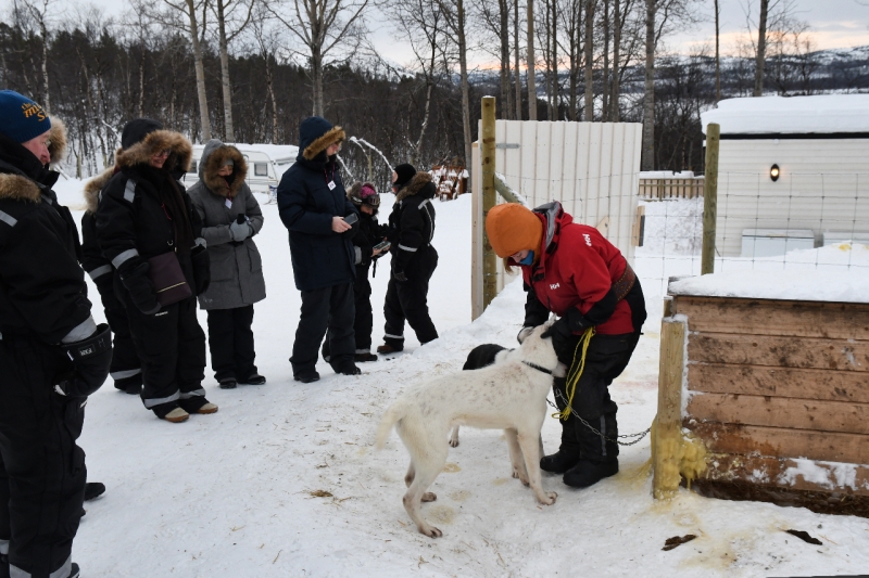 15-Kirkenes-Schlittenhunde-0795