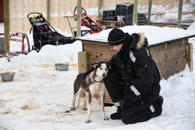15-Kirkenes-Schlittenhunde-0802