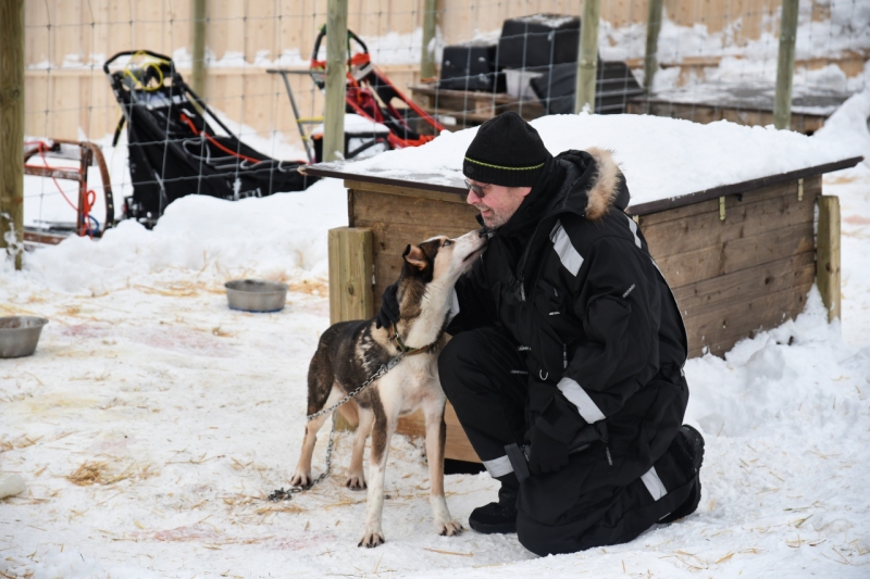 15-Kirkenes-Schlittenhunde-0807