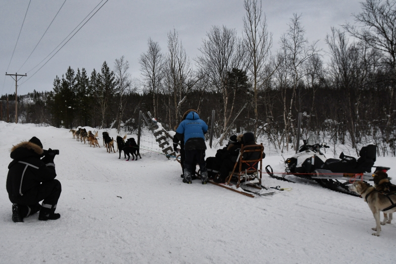 15-Kirkenes-Schlittenhunde-0871