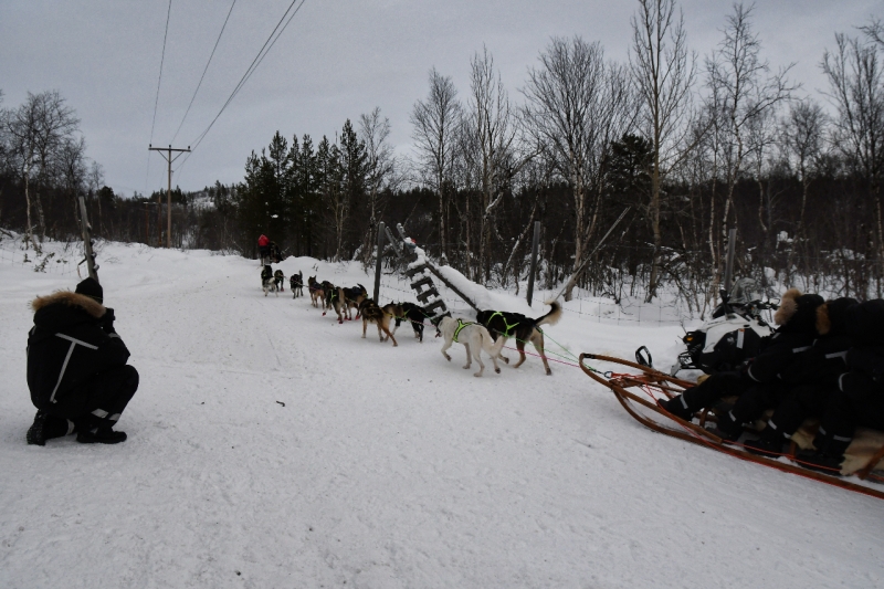15-Kirkenes-Schlittenhunde-0890