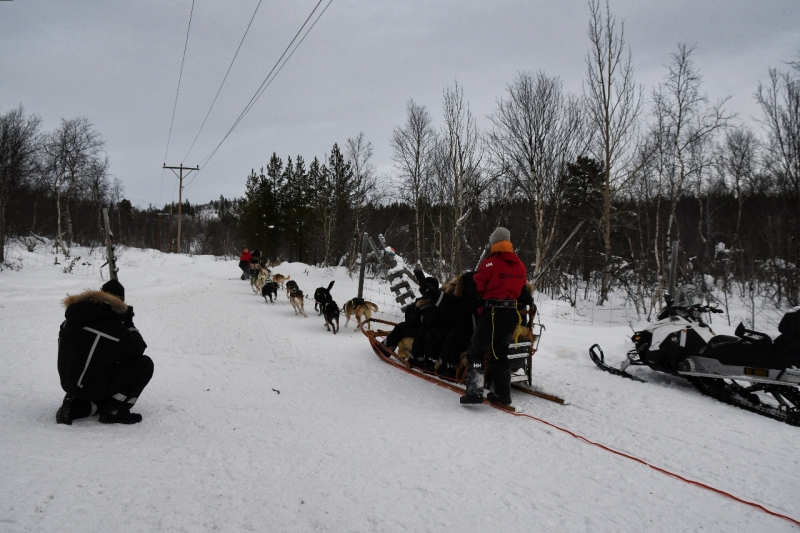 15-Kirkenes-Schlittenhunde-0893