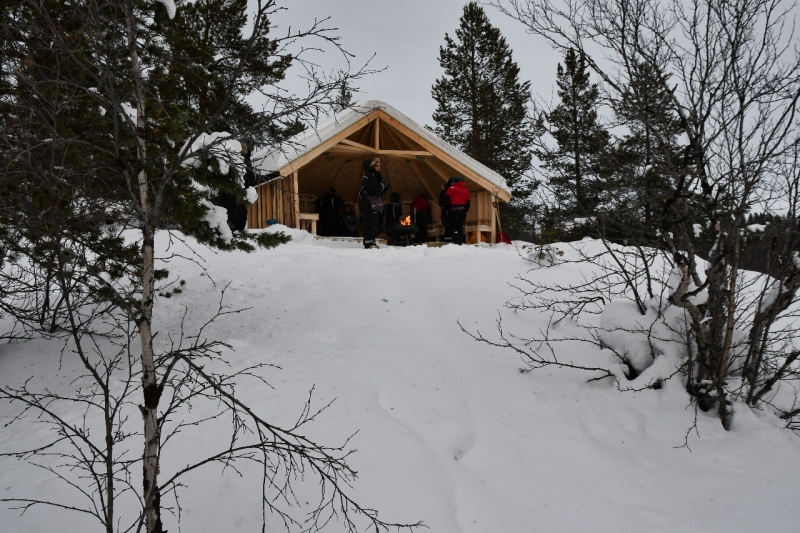 15-Kirkenes-Schlittenhunde-0897