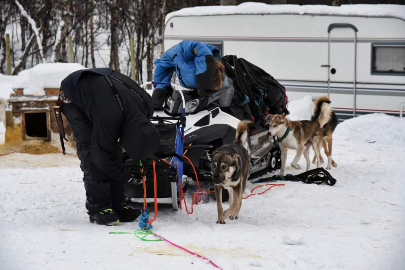 15-Kirkenes-Schlittenhunde-0929