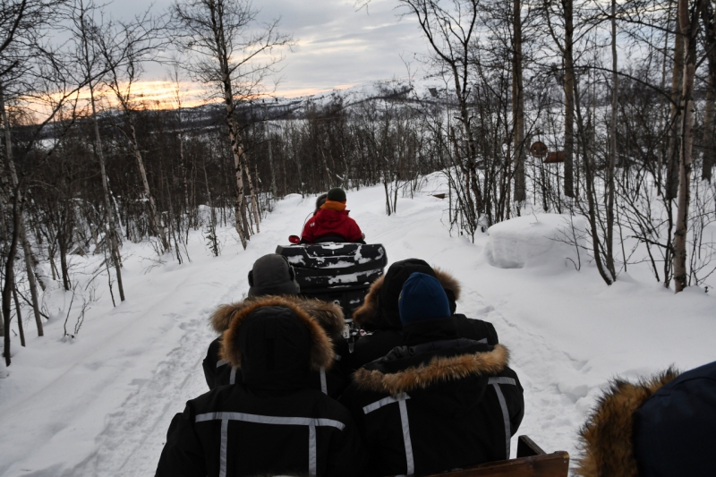 15-Kirkenes-Schlittenhunde-0942