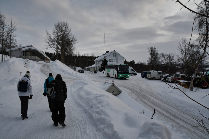 15-Kirkenes-Schlittenhunde-0979