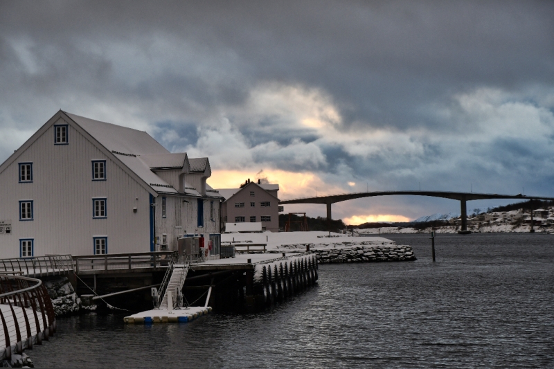 26-Brønnøysund-1393