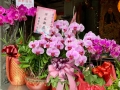 Taiwan 2019 Taipeh
