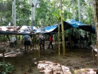 08-tambopada-1411-amazonien-2013