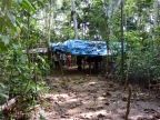 08-tambopada-1414-amazonien-2013